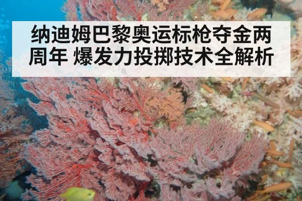 纳迪姆巴黎奥运标枪夺金两周年 爆发力投掷技术全解析